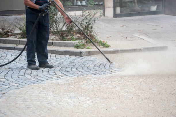 Best Fence Cleaning  in Buffalo Grove, IL
